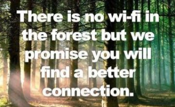 There is no WIFI in the Forest but I promise you will have a better connection